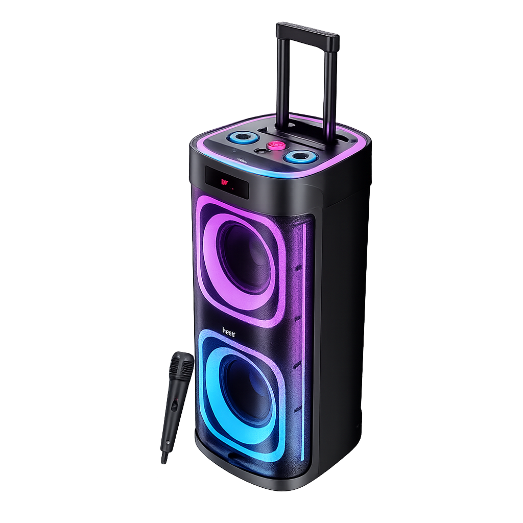 boAt PartyPal 700 Bluetooth Party Speaker