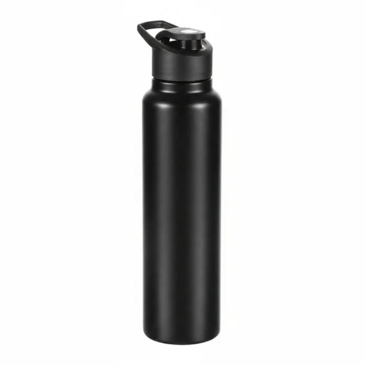 SipFresh Stainless Steel Single Wall Bottle