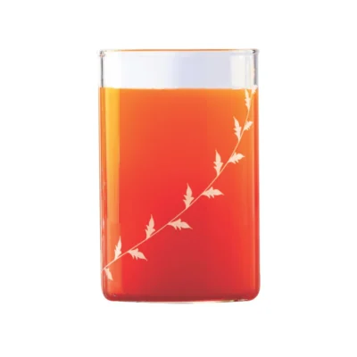 White Krip Glass Tumbler Set – 100% Borosilicate Glass